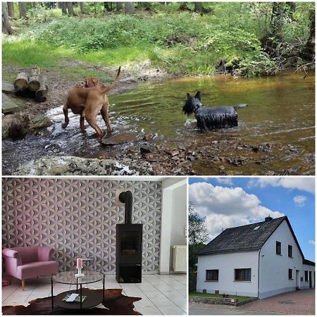 Nationalpark Ferienhaus Sophia-Luisa Borfink Екстериор снимка